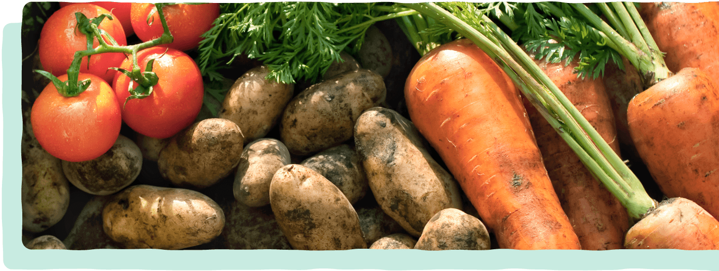 だんらんの食卓で新鮮な食材に舌つづみをうつ